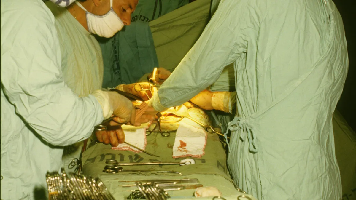 A Clear-Eyed Look at Vaccination record organization for long-term owners